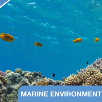 IMO MEPC 83 Committee banner - Marine Environment Protection Committee