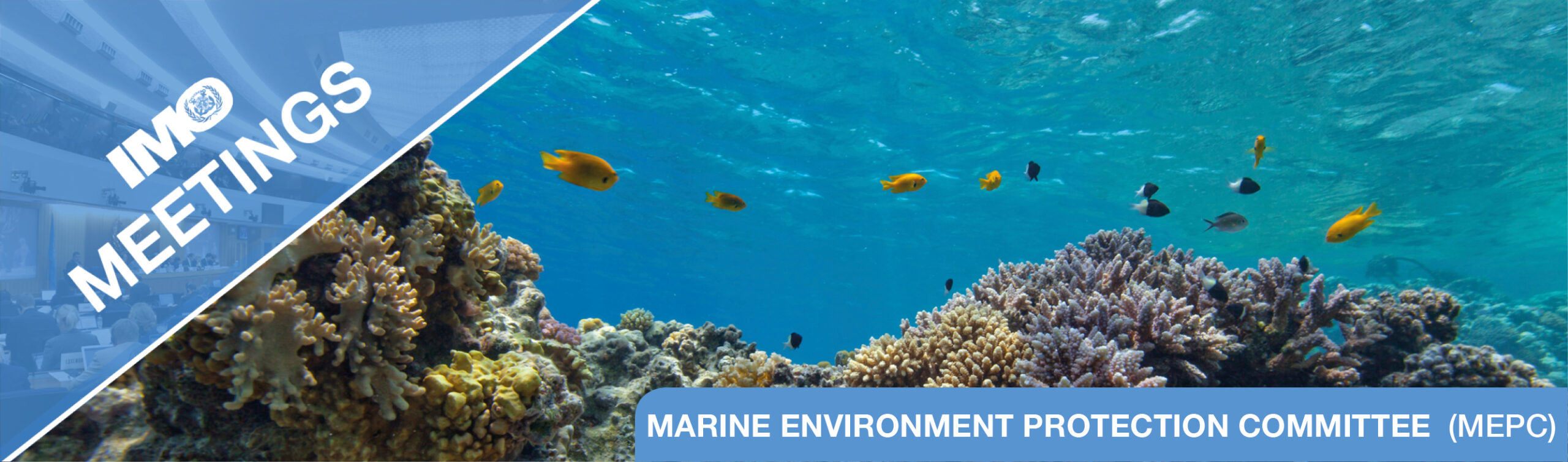 IMO Marine Environment Protection Committee 83: Decarbonisation, Emissions and Environmental Compliance for Superyachts